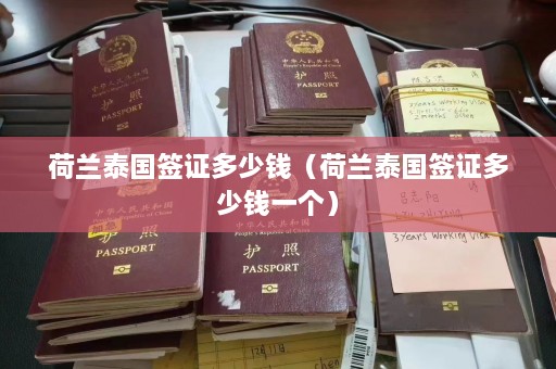 荷兰泰国签证多少钱（荷兰泰国签证多少钱一个）