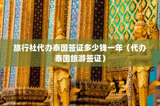 旅行社代办泰国签证多少钱一年（代办泰国旅游签证）