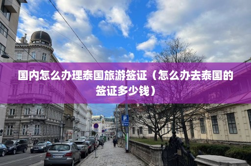 国内怎么办理泰国旅游签证（怎么办去泰国的签证多少钱）