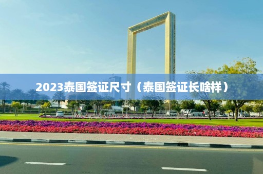 2023泰国签证尺寸（泰国签证长啥样）