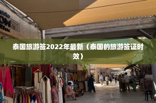 泰国旅游签2022年最新（泰国的旅游签证时效）