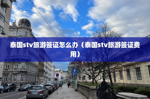 泰国stv旅游签证怎么办（泰国stv旅游签证费用）