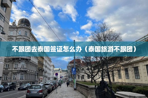 不跟团去泰国签证怎么办（泰国旅游不跟团）