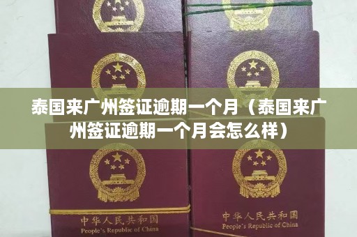 泰国来广州签证逾期一个月（泰国来广州签证逾期一个月会怎么样）  第1张