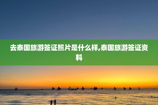 去泰国旅游签证照片是什么样,泰国旅游签证资料