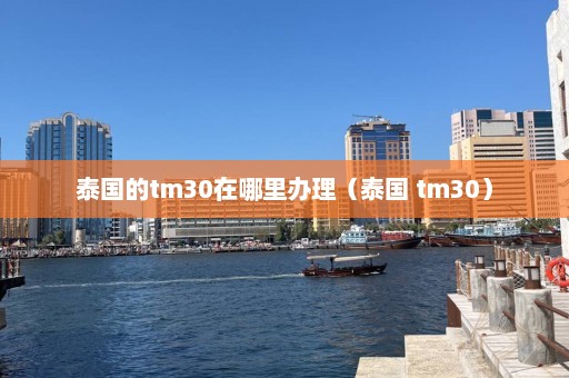 泰国的tm30在哪里办理（泰国 tm30）