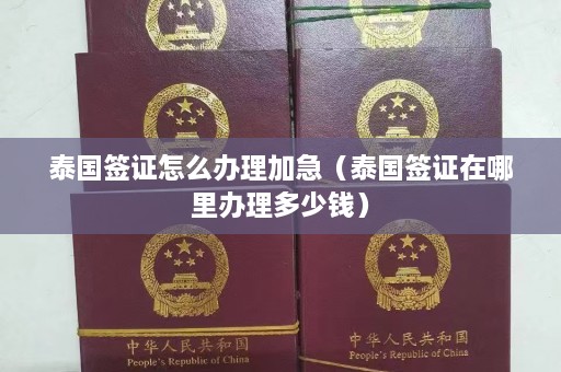 泰国签证怎么办理加急（泰国签证在哪里办理多少钱）  第1张