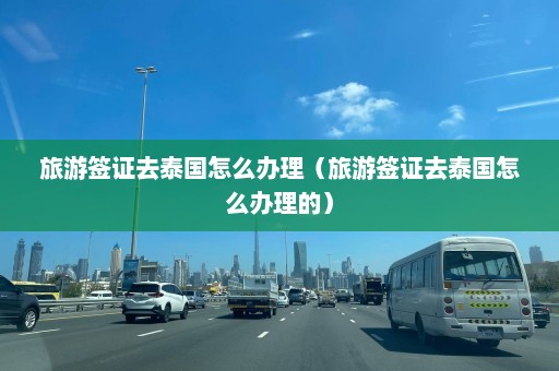 旅游签证去泰国怎么办理（旅游签证去泰国怎么办理的）