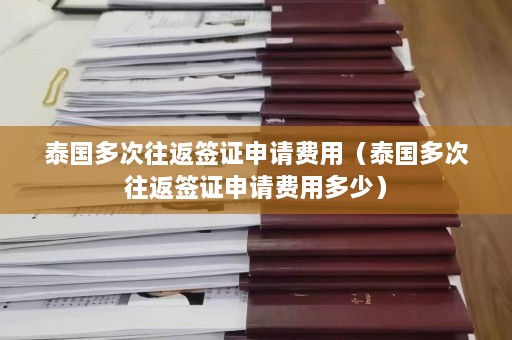 泰国多次往返签证申请费用（泰国多次往返签证申请费用多少）  第1张