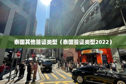 泰国其他签证类型（泰国签证类型2022）