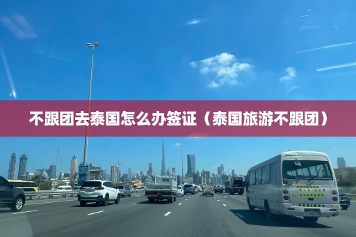 不跟团去泰国怎么办签证（泰国旅游不跟团）