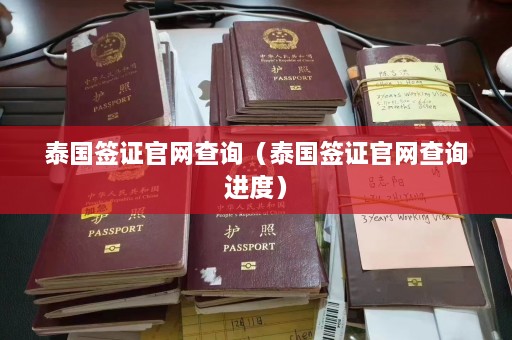 泰国签证官网查询（泰国签证官网查询进度）