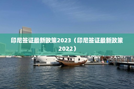 印尼签证最新政策2023（印尼签证最新政策2022）