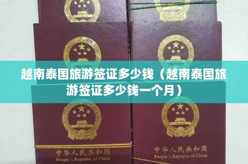 越南泰国旅游签证多少钱（越南泰国旅游签证多少钱一个月）  第1张