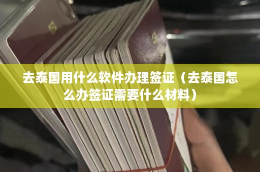 去泰国用什么软件办理签证（去泰国怎么办签证需要什么材料）