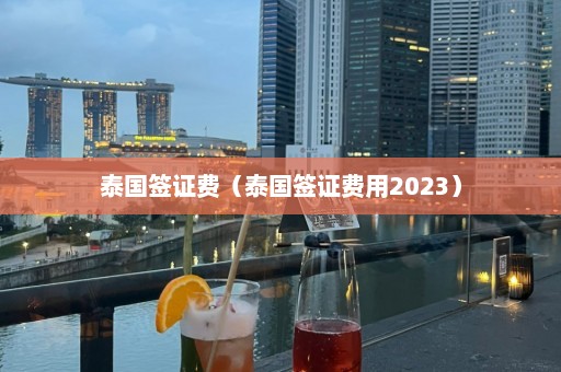 泰国签证费（泰国签证费用2023）