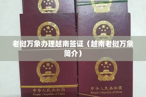 老挝万象办理越南签证（越南老挝万象简介）