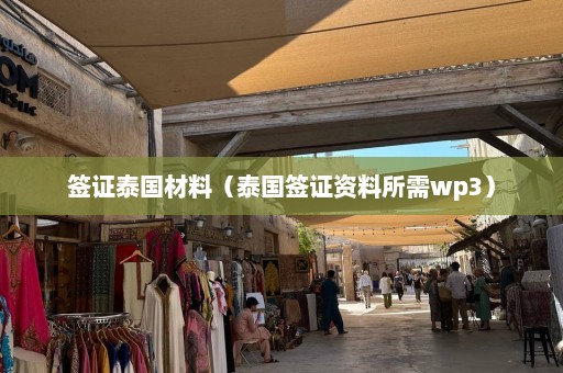 签证泰国材料（泰国签证资料所需wp3）