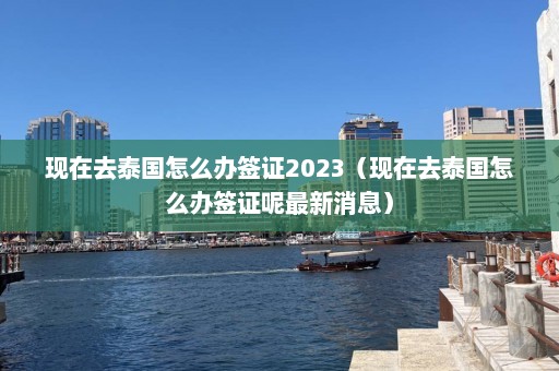 现在去泰国怎么办签证2023（现在去泰国怎么办签证呢最新消息）