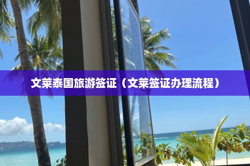 文莱泰国旅游签证（文莱签证办理流程）