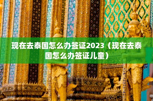 现在去泰国怎么办签证2023（现在去泰国怎么办签证儿童）  第1张