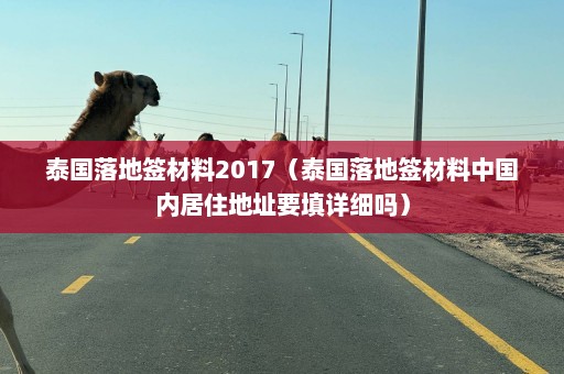 泰国落地签材料2017（泰国落地签材料中国内居住地址要填详细吗）