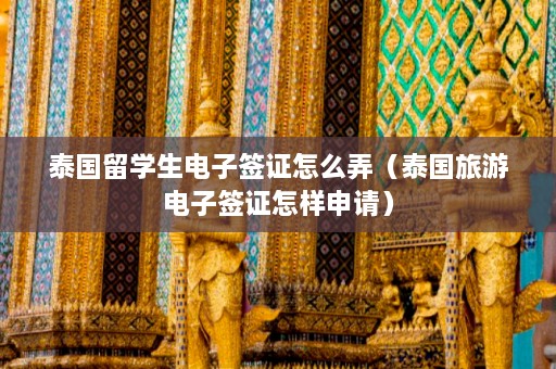 泰国留学生电子签证怎么弄（泰国旅游电子签证怎样申请）  第1张