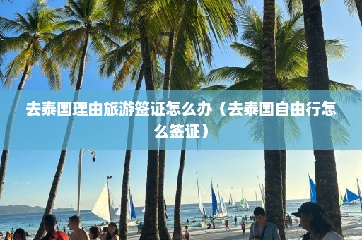 去泰国理由旅游签证怎么办（去泰国自由行怎么签证）