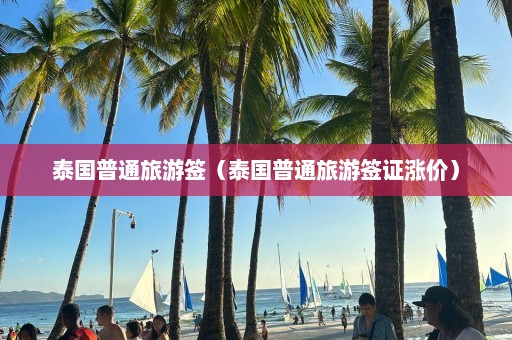 泰国普通旅游签（泰国普通旅游签证涨价）