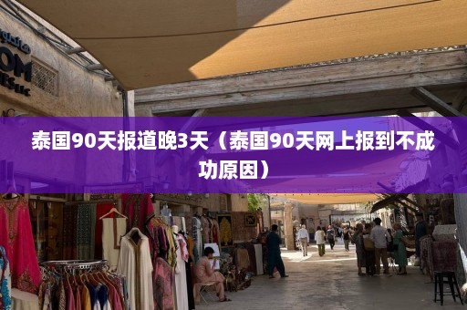 泰国90天报道晚3天（泰国90天网上报到不成功原因）  第1张