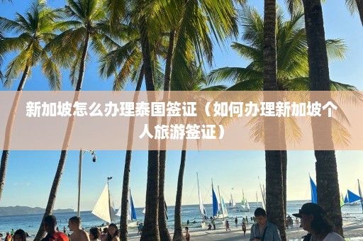 新加坡怎么办理泰国签证（如何办理新加坡个人旅游签证）