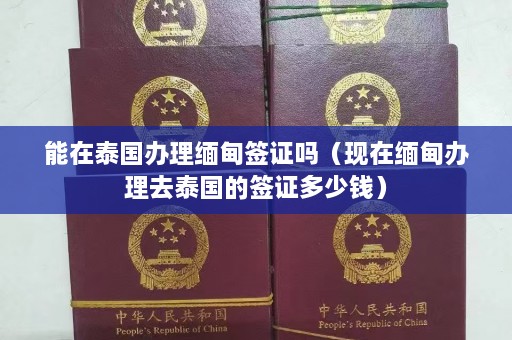 能在泰国办理缅甸签证吗（现在缅甸办理去泰国的签证多少钱）