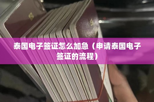 泰国电子签证怎么加急（申请泰国电子签证的流程）