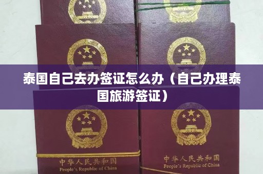 泰国自己去办签证怎么办（自己办理泰国旅游签证）  第1张