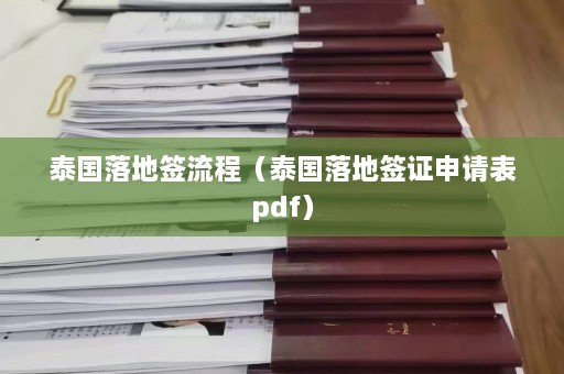 泰国落地签流程（泰国落地签证申请表pdf）