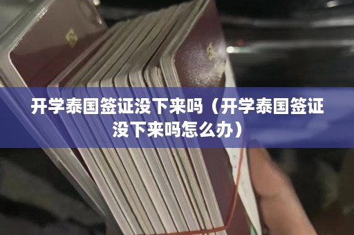 开学泰国签证没下来吗（开学泰国签证没下来吗怎么办）  第1张