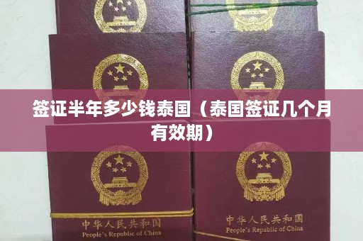 签证半年多少钱泰国（泰国签证几个月有效期）