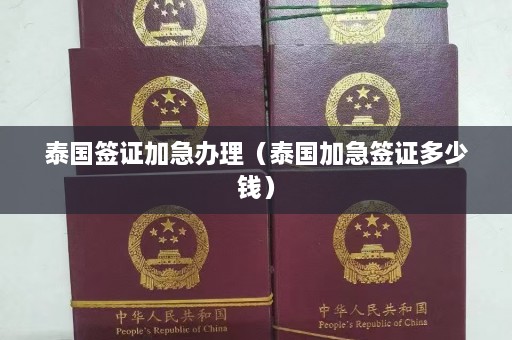 泰国签证加急办理（泰国加急签证多少钱）