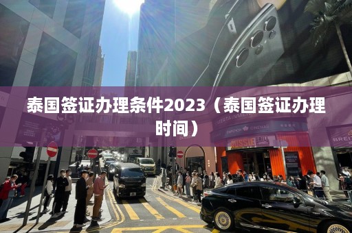 泰国签证办理条件2023（泰国签证办理时间）  第1张