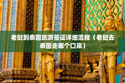 老挝到泰国旅游签证详细流程（老挝去泰国走哪个口岸）  第1张