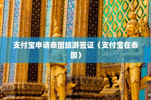 支付宝申请泰国旅游签证（支付宝在泰国）