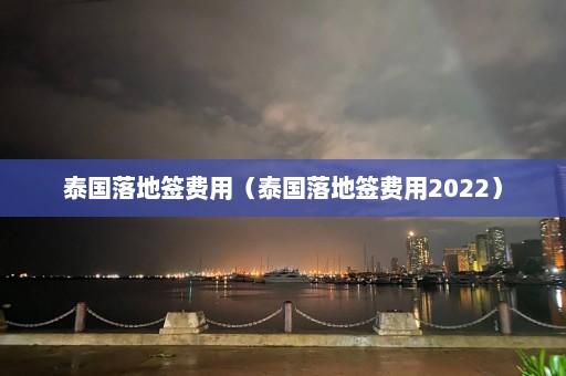 泰国落地签费用（泰国落地签费用2022）