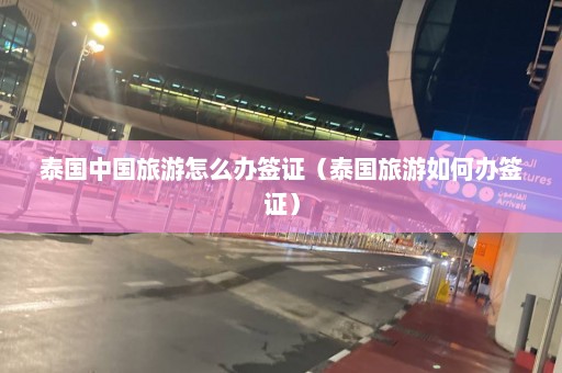 泰国中国旅游怎么办签证（泰国旅游如何办签证）