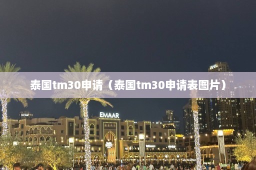 泰国tm30申请（泰国tm30申请表图片）