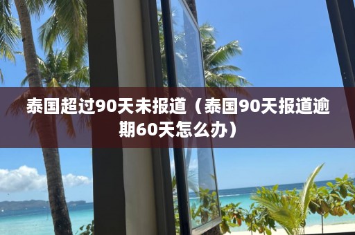 泰国超过90天未报道（泰国90天报道逾期60天怎么办）