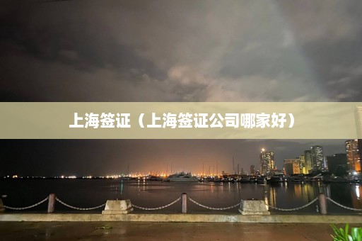 上海签证（上海签证公司哪家好）