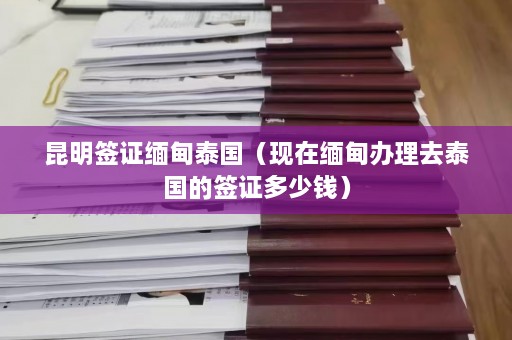 昆明签证缅甸泰国（现在缅甸办理去泰国的签证多少钱）