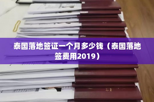 泰国落地签证一个月多少钱（泰国落地签费用2019）  第1张