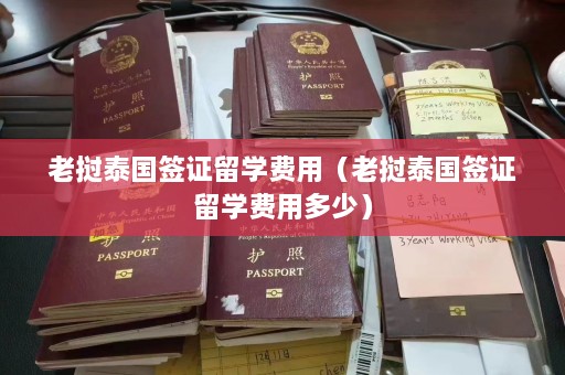 老挝泰国签证留学费用（老挝泰国签证留学费用多少）  第1张