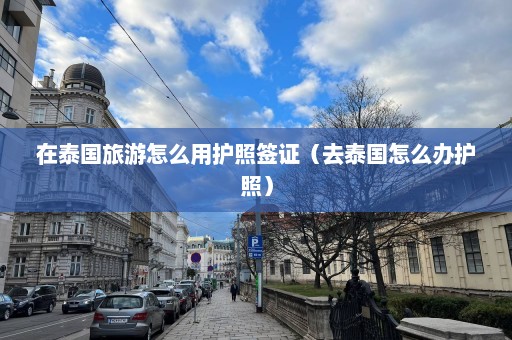 在泰国旅游怎么用护照签证（去泰国怎么办护照）